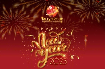 New Year Holiday Notice 2025